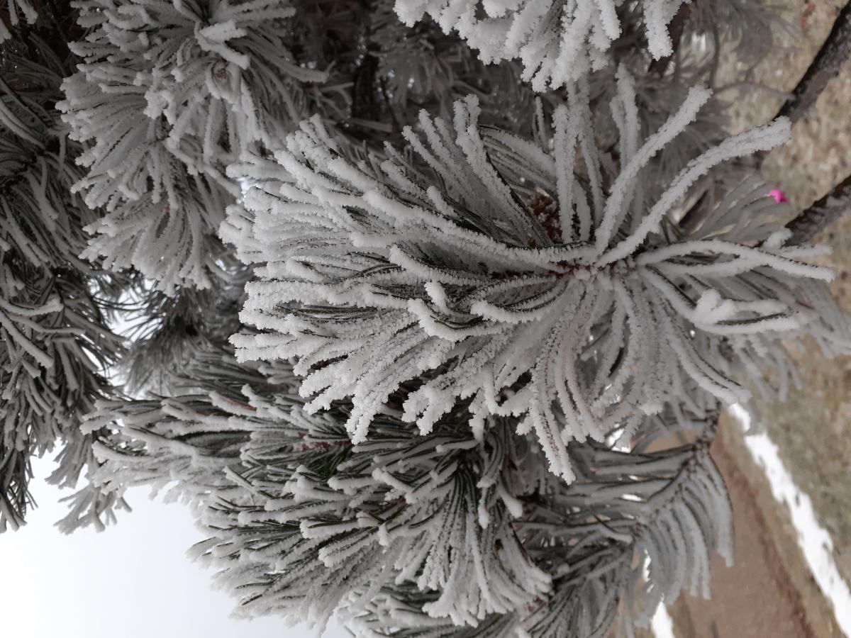 Sermon: Snakes and other respectable people