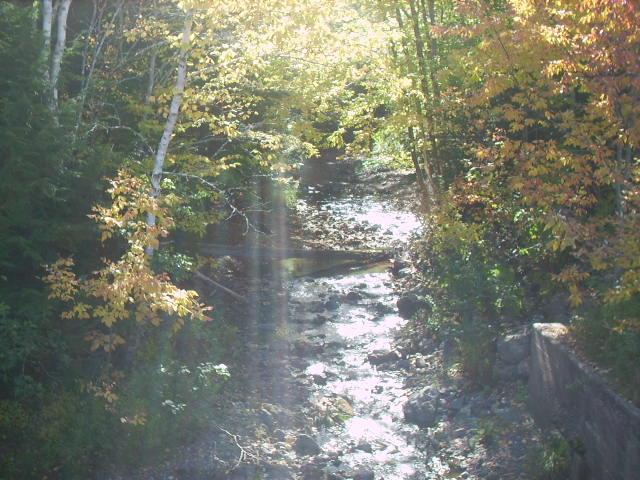 Sermon: Devotion not sacrifice