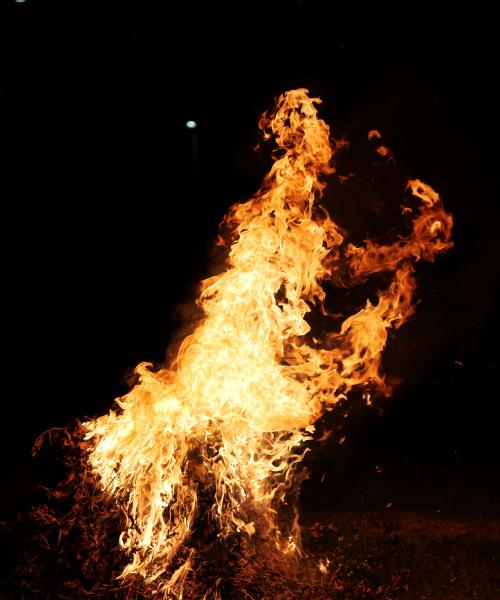 Sermon: The Burning Bush